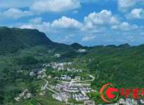 果瓦秘境，茶中瑰宝—— 探访贵州省大方县果瓦乡的生态茶韵 ... ...